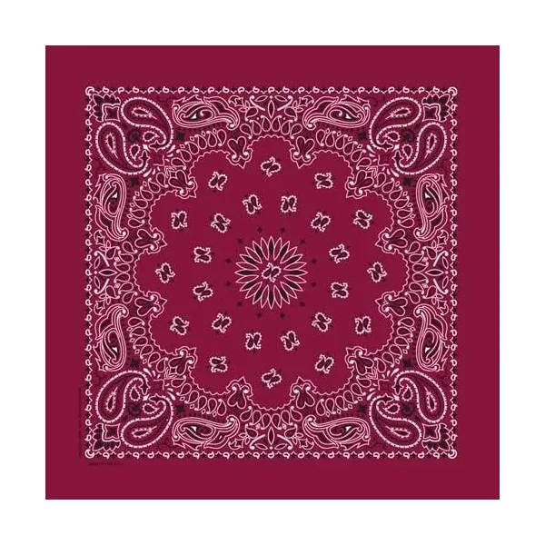 Bandanna Co. Paisley Burgundy 22” X 22”