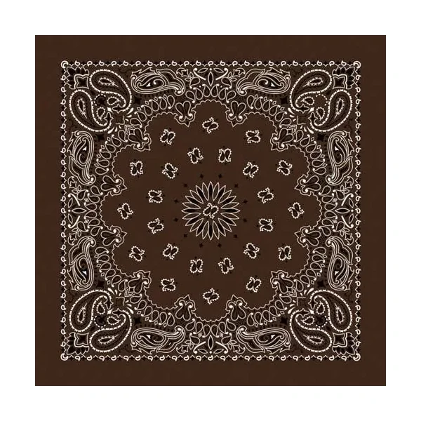 Bandanna Co. Paisley Coco 22” X 22”