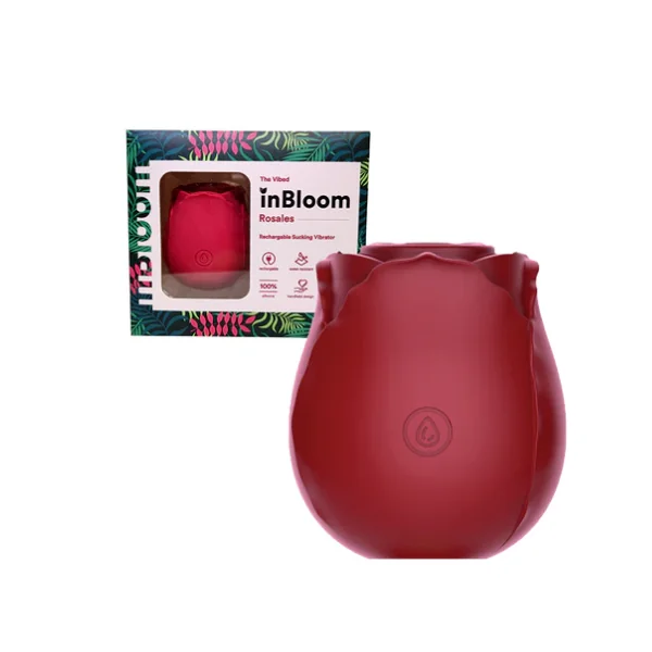 BDSM For Beginners 5 Pack Bundle