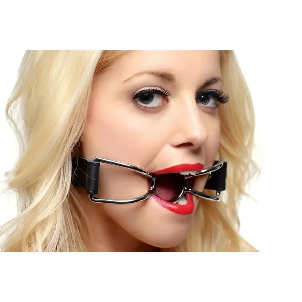 BDSM Spider Gag Open Mouth Gag