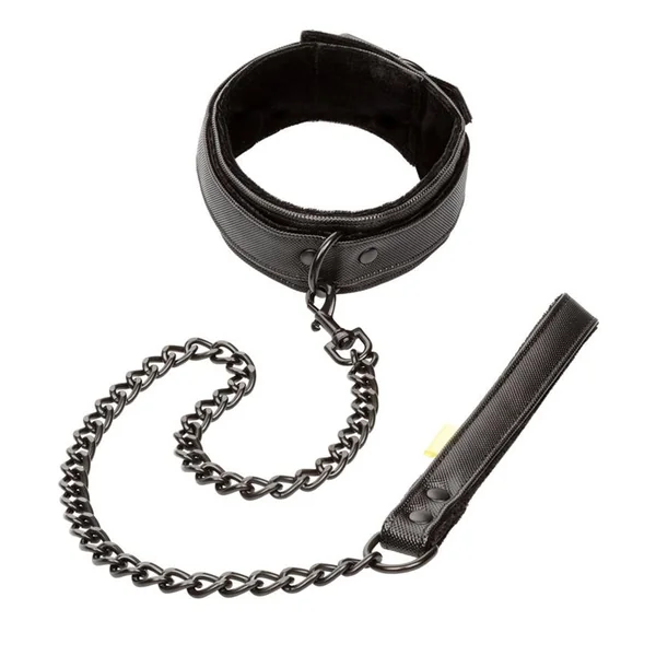 Boundless Collar and Leash Bondage Restraint