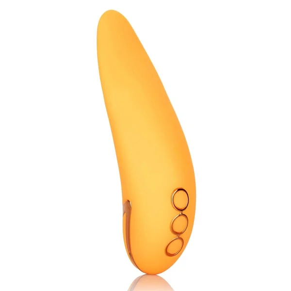 California Dreaming Hollywood Hottie