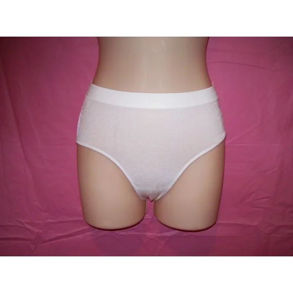 Calvin Klein Lingerie Microfiber Bikini Brief Panty, White