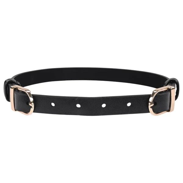 Double Buckle Day Collar