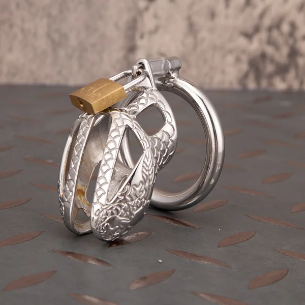 Dragon Scale Stainless Steel Chastity Cage Metal Cock Cage Round Ring