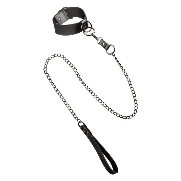 Euphoria Collection Collar with Chain Leash