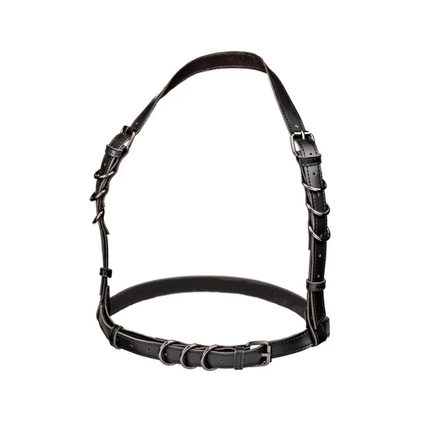 Euphoria Collection Halter Buckle Harness – Black