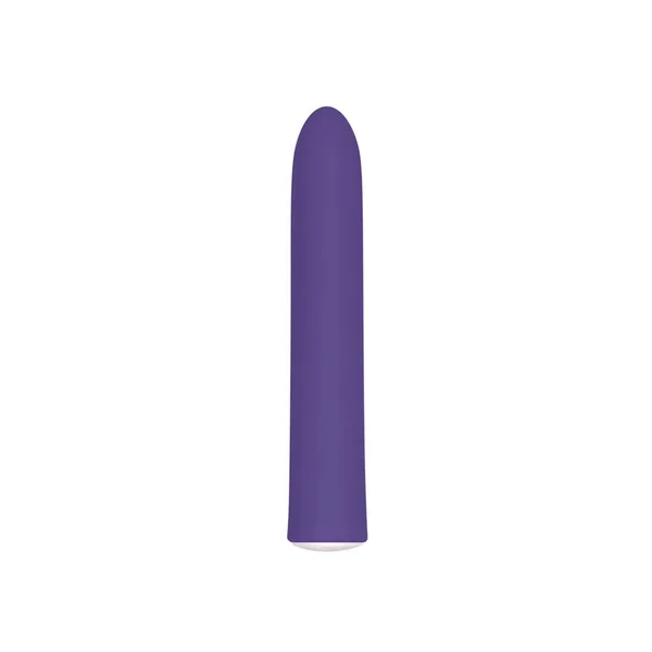Evolved - Rechargeable Slim Vibrator - Purple