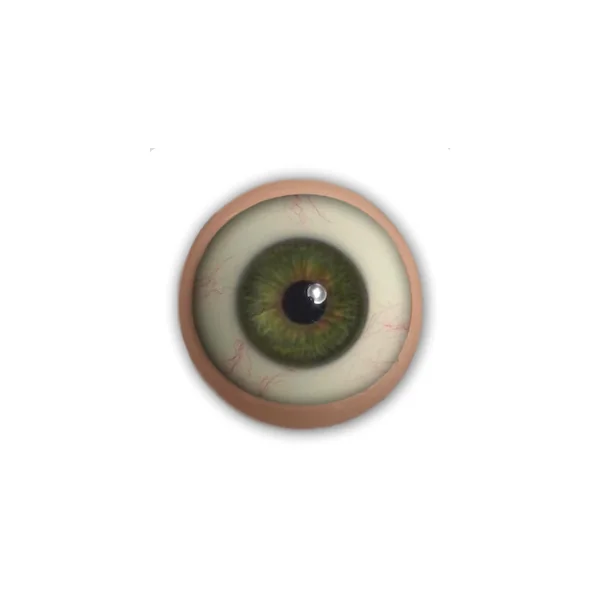 EYE DETAILS / COLORS: