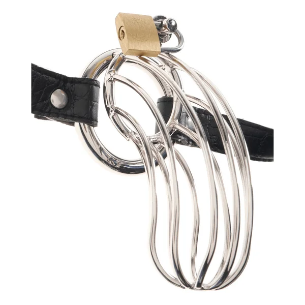 Fetish Fantasy Extreme Steel Chastity Cock Cage Belt