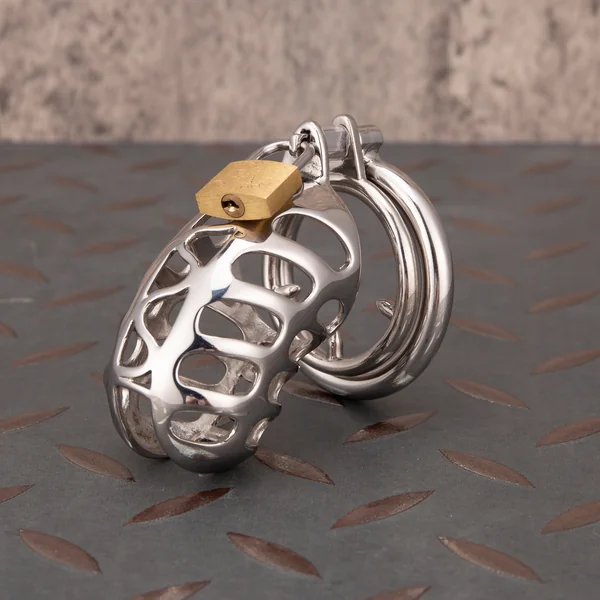 Hollow Stainless Steel Chastity Cage Metal Cock Cage With Anti Slip Ring