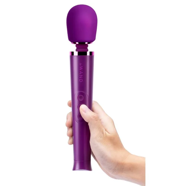 Le Wand Petite Rechargeable Silicone Vibrating Massager – Cherry