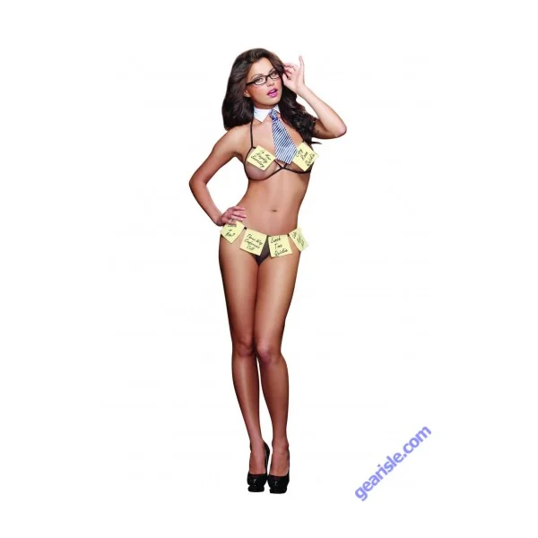 Office Flirt 4 Piece Bra Detachable Sticky Notes Costume 9321 Style