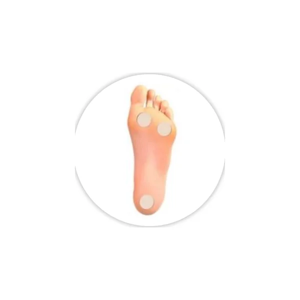 PREMIUM FEATURE [FREE]