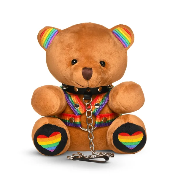 Pride Bear by Master Series
