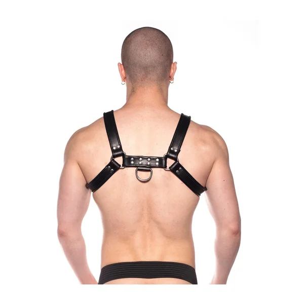 Prowler RED Bull Harness – XXLarge – Black