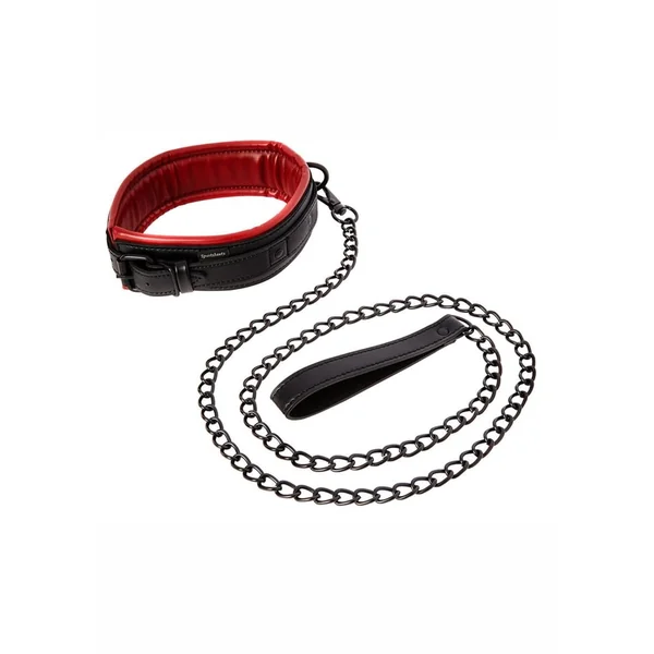Saffron Collar And Leash Black