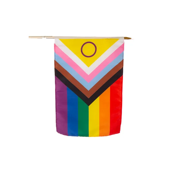 Stag Shop - Intersex Inclusive 12x18 Pride Flag On Stick