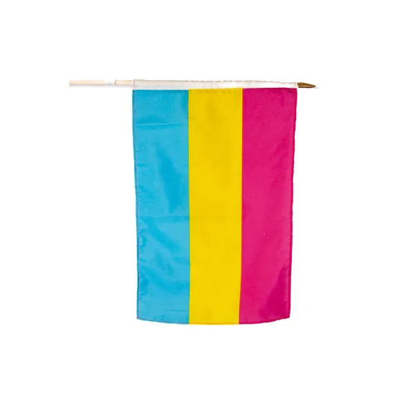 Stag Shop - Pansexual 12x18 Pride Flag On Stick
