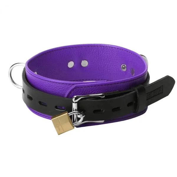 Strict Leather Deluxe Locking Purple Leather BDSM Collar - Purple and Black