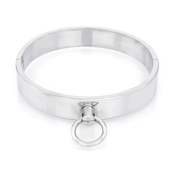 XBLISS Stainless Steel Slave Collar